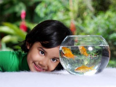 Jenis Hewan Peliharaan